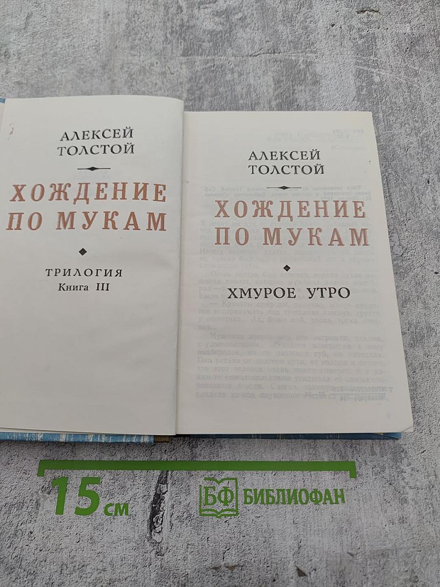 Хождение по мукам. Трилогия. Книга III. Хмурое утро