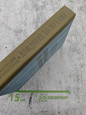 Хождение по мукам. Трилогия. Книга III. Хмурое утро