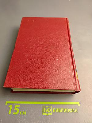 Бруски. Книги третья и четвертая. Том второй