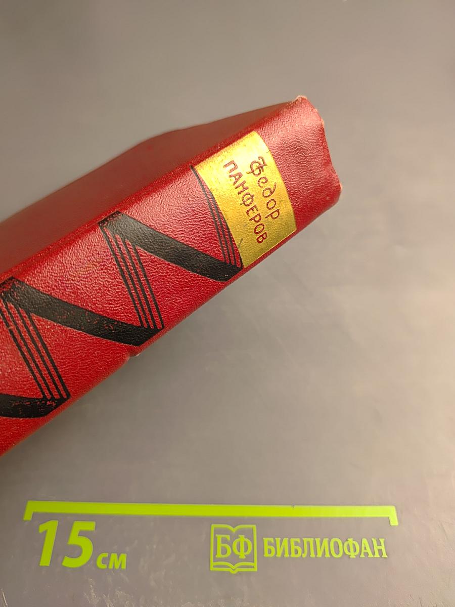 Бруски. Книги третья и четвертая. Том второй