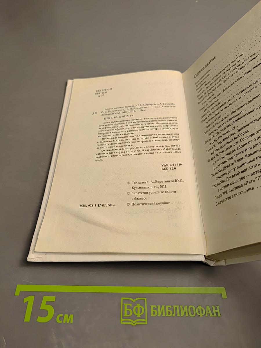 Десять шагов по вертикали. Как выиграть выборы. Стратегии успеха во власти и бизнесе