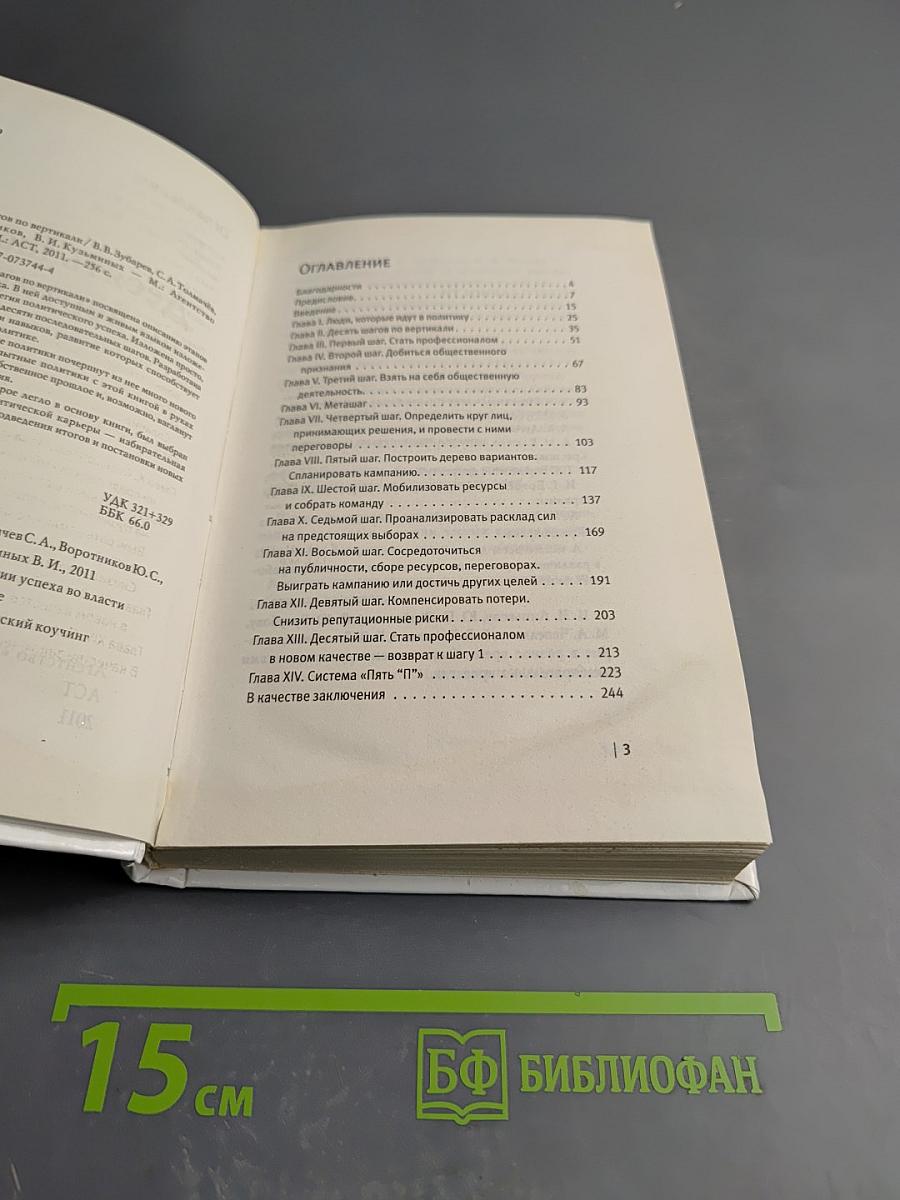 Десять шагов по вертикали. Как выиграть выборы. Стратегии успеха во власти и бизнесе