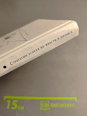 Десять шагов по вертикали. Как выиграть выборы. Стратегии успеха во власти и бизнесе