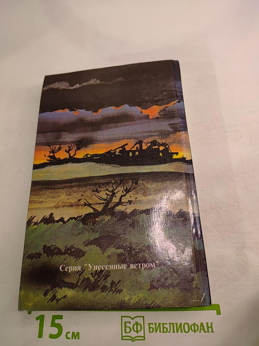 Унесенные ветром, Том 2