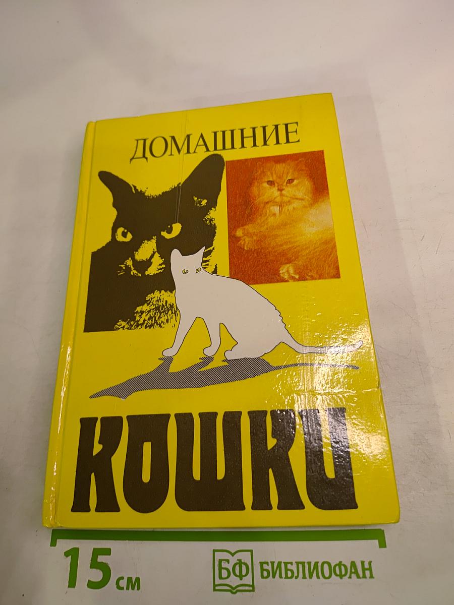 Домашние кошки