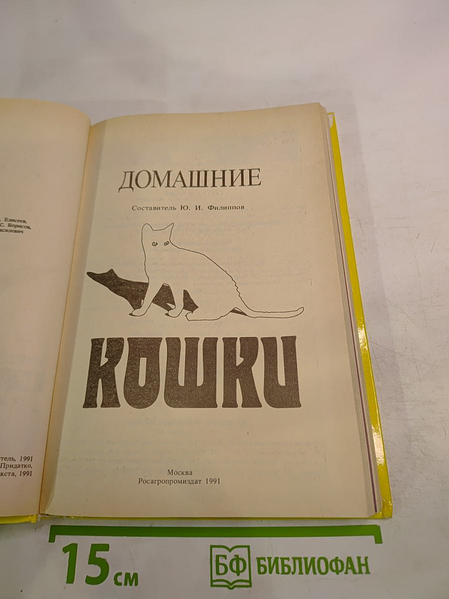 Домашние кошки