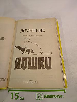 Домашние кошки