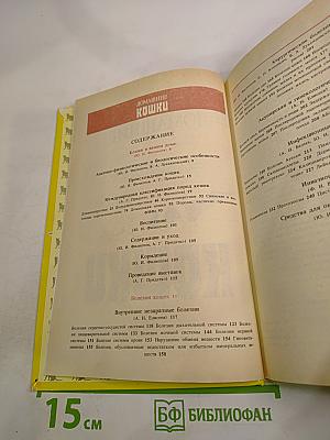 Домашние кошки