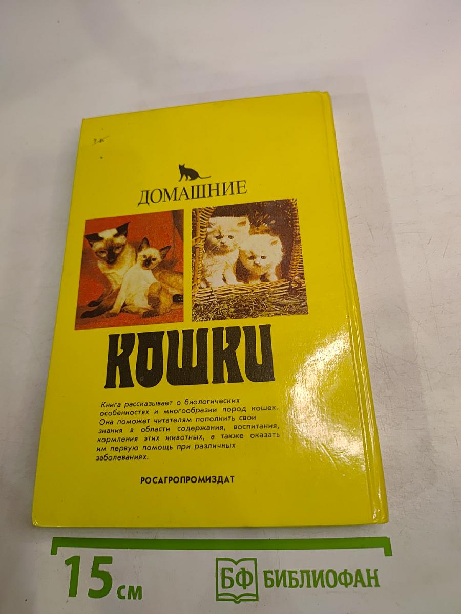 Домашние кошки