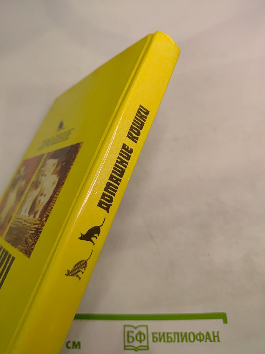 Домашние кошки