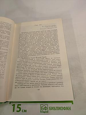 Последний из могикан. Бродяги Севера. В дебрях Севера