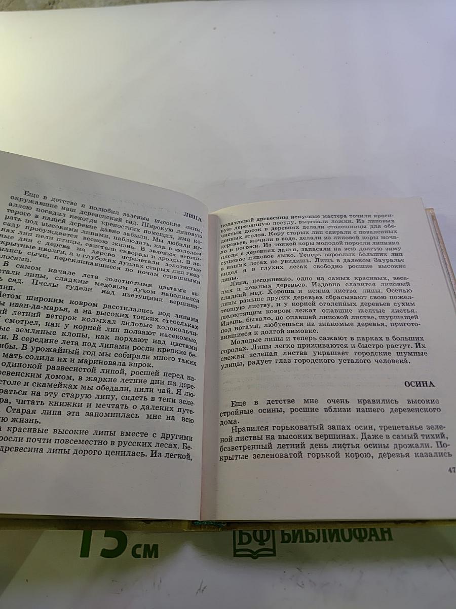 Найдёнов луг