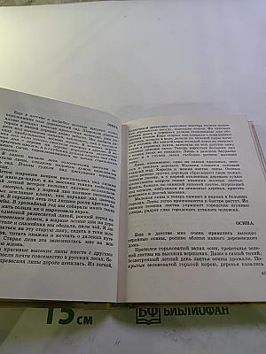 Найдёнов луг