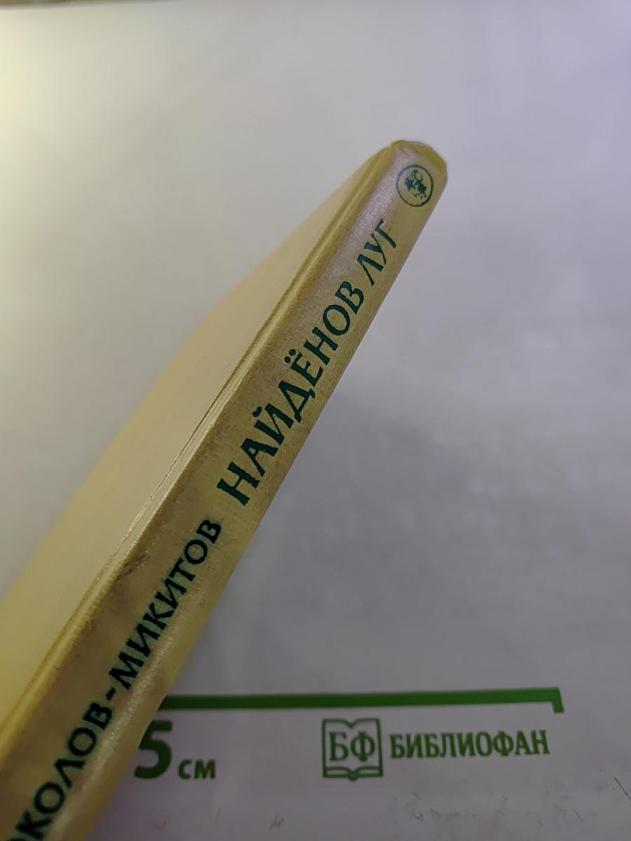 Найдёнов луг