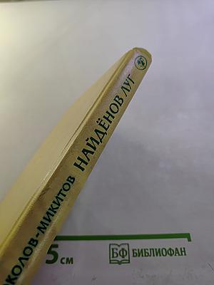 Найдёнов луг