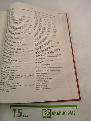 Deutsch-Russisches Wörterbuch. Dritter Band S-Z