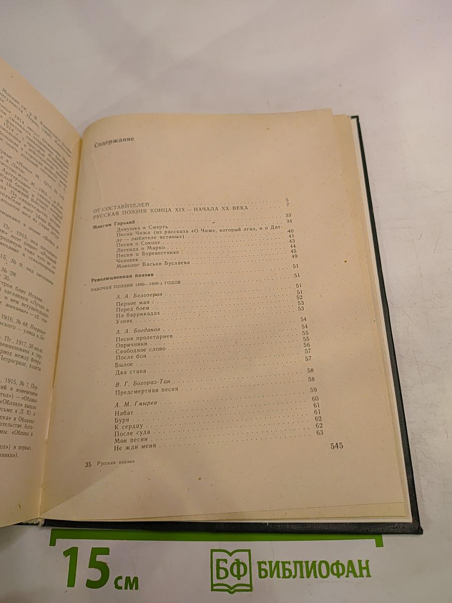 Русская поэзия конца XIX - начала XX века (дооктябрьский период)