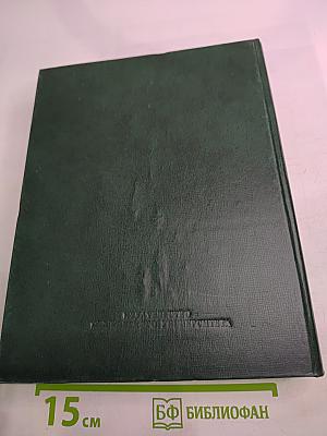 Русская поэзия конца XIX - начала XX века (дооктябрьский период)