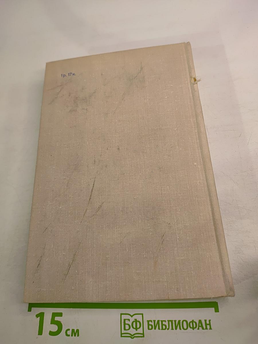 В час дня, ваше превосходительство... Том второй