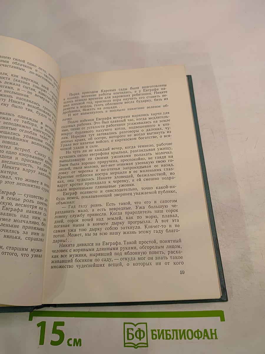 Сочинения. Том второй. Братья