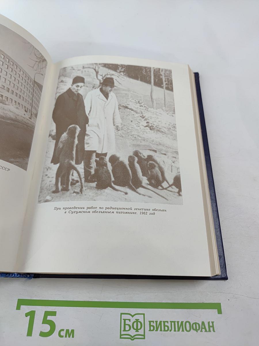 Вечное движение. Воспоминания