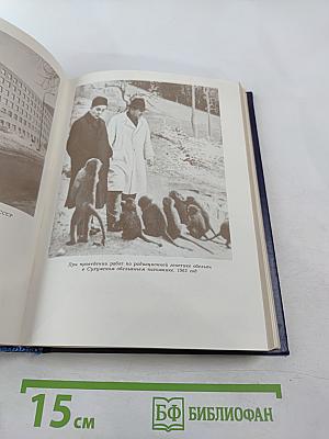 Вечное движение. Воспоминания