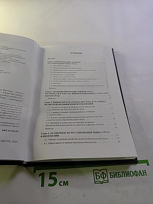 Регулирование рынка труда в странах Востока. Выпуск 51