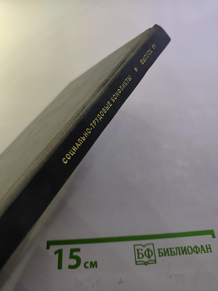 Регулирование рынка труда в странах Востока. Выпуск 51