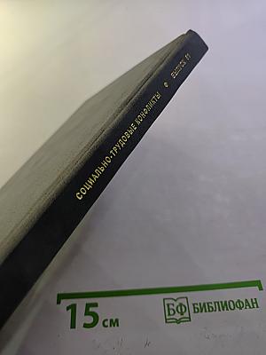 Регулирование рынка труда в странах Востока. Выпуск 51