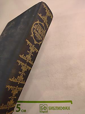 Божественная Комедия