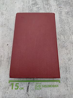 Собрание сочинений. Том четвертый. Дневники, литературные записи, письма