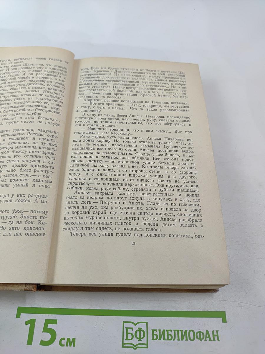 Хождение по мукам (Трилогия, Книга третья)