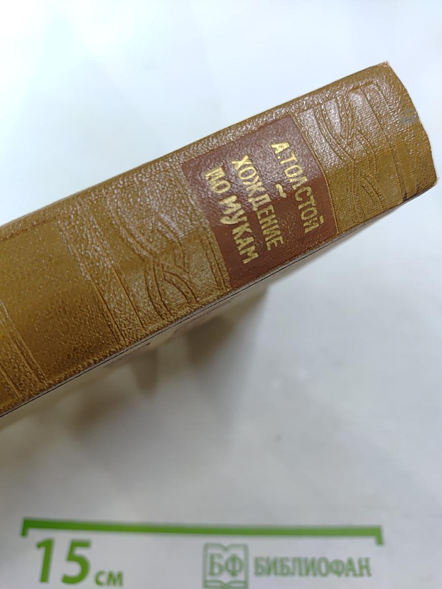 Хождение по мукам (Трилогия, Книга третья)