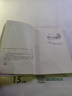 Чаша неба. Стихи