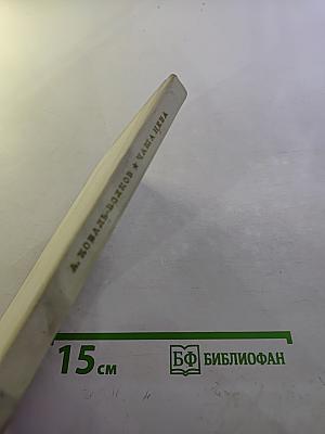 Чаша неба. Стихи