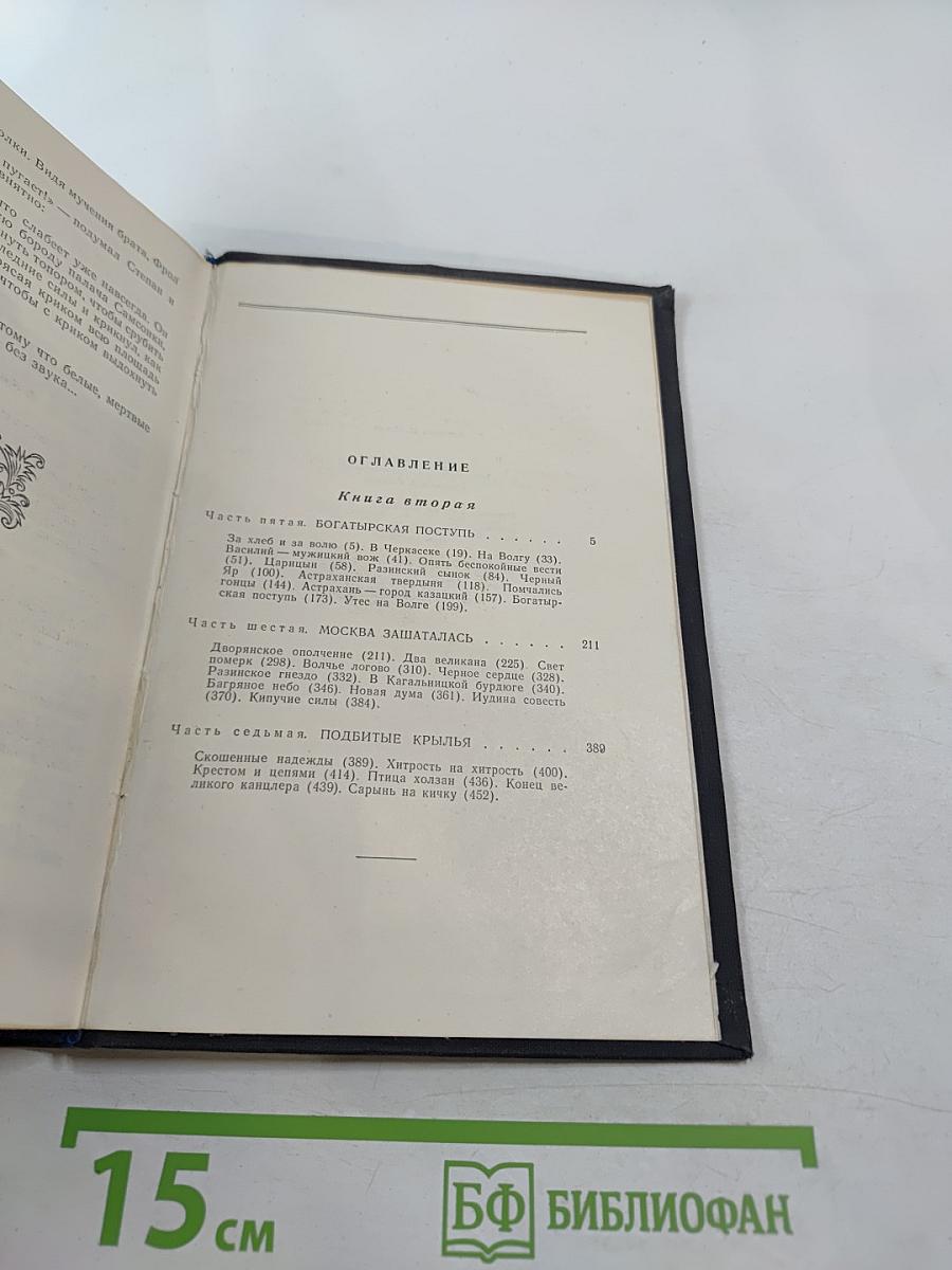 Степан Разин. Книга вторая