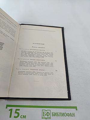 Степан Разин. Книга вторая