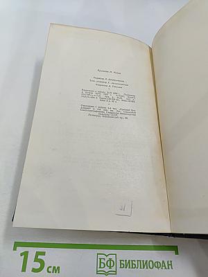 Степан Разин. Книга вторая