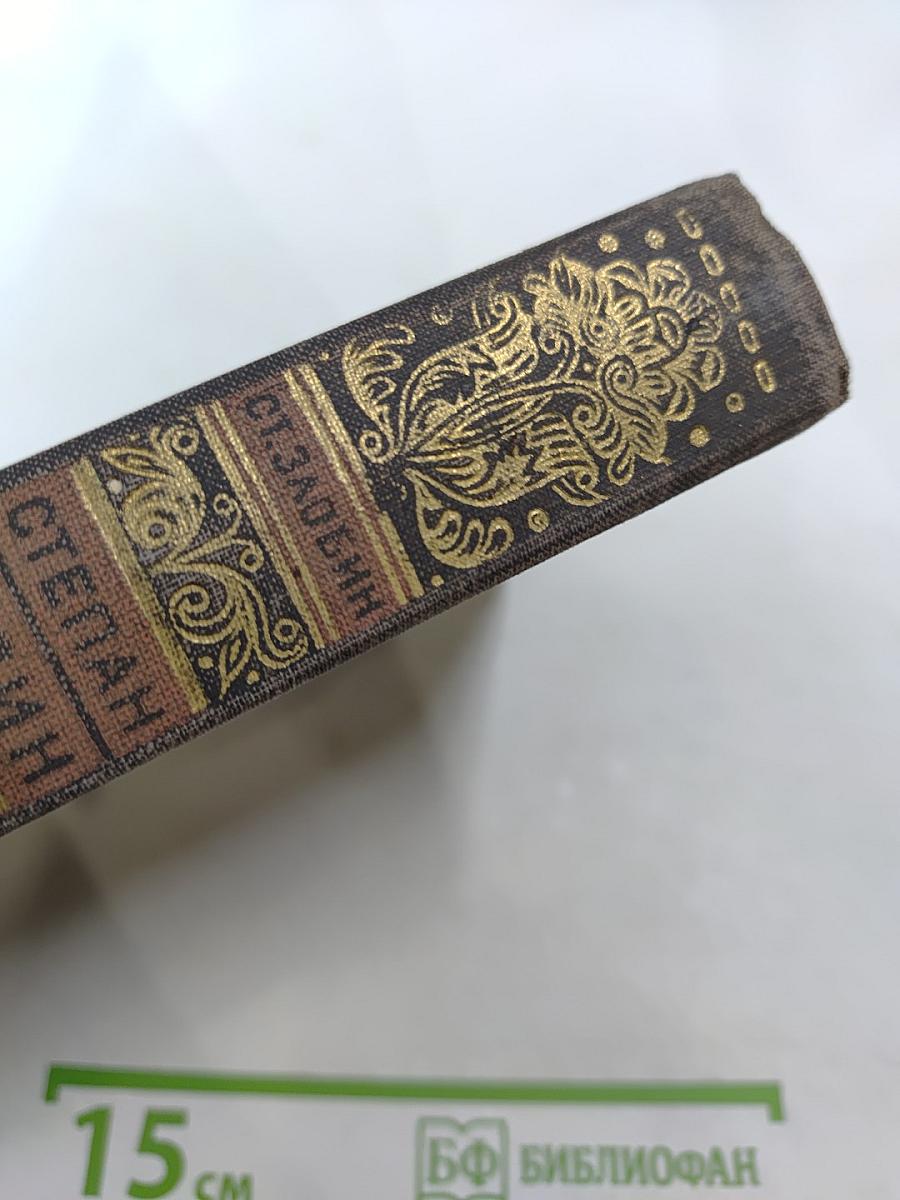 Степан Разин. Книга вторая