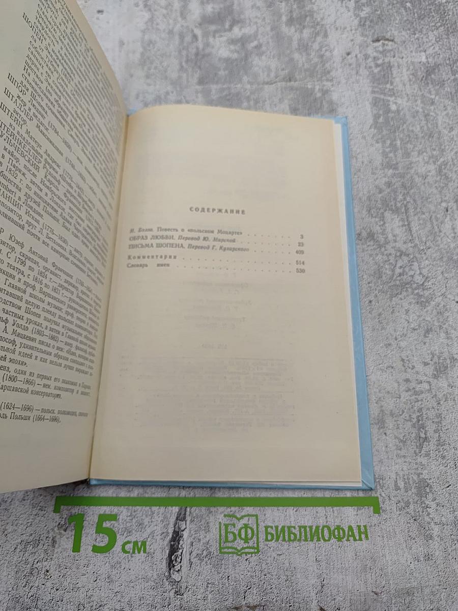 Образ любви. Повесть о жизни Фридерика Шопена. Письма Шопена
