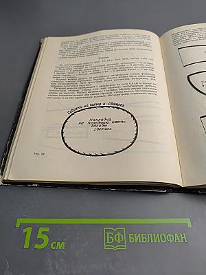 Работа с мягкой игрушкой в начальных классах