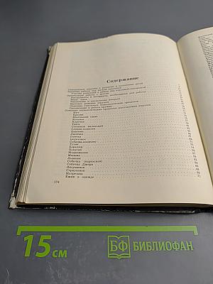 Работа с мягкой игрушкой в начальных классах