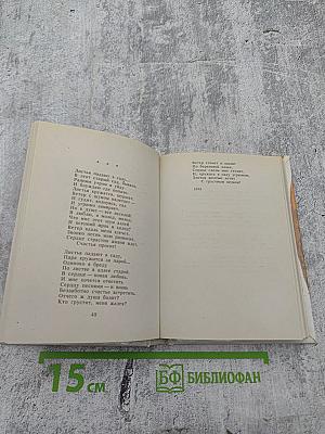 Свет незакатный