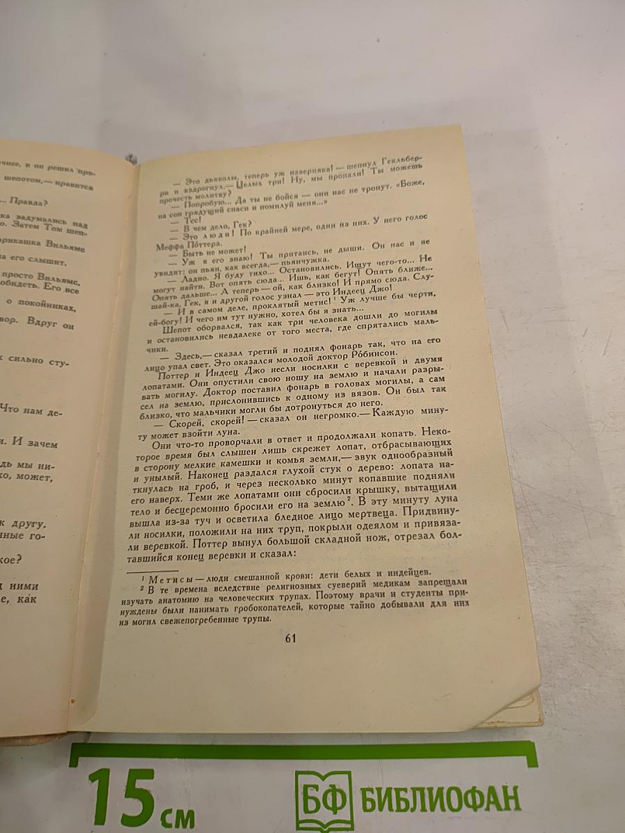 Приключения Тома Сойера. Приключения Гекльберри Финна