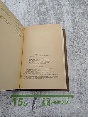 Квадраты Шахматного Города