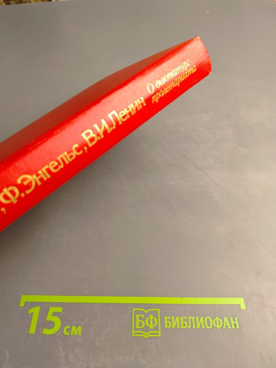 О диктатуре пролетариата