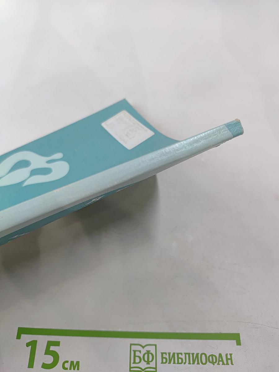 Я читаю по-русски. Книга для чтения со словарём