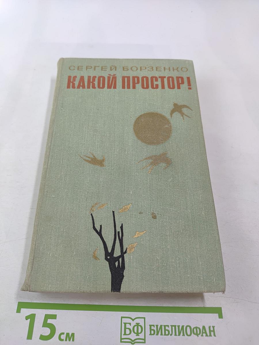 Какой простор! Книга вторая. Бытие