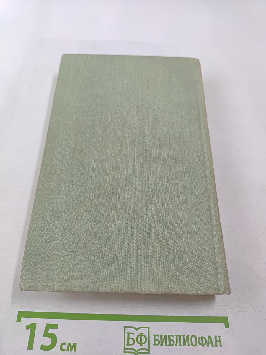 Какой простор! Книга вторая. Бытие