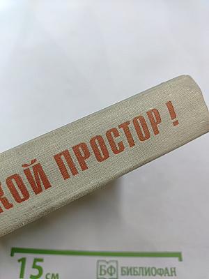 Какой простор! Книга вторая. Бытие